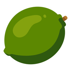Vector Flat Design Icon - Lime fruit