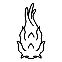 Vector Outline Icon Dragon Fruit