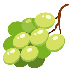 Vector Color Flat Design Icon - Green Grapes Fruit