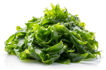 Sea lettuce on white.