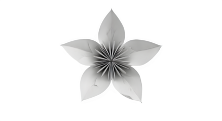 A grayscale flower with pointed petals and a starburst center on a white background, showcasing symmetry and intricate details in a minimalist style and composition.