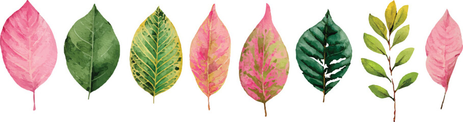 vector illustration of a green grass with leaves