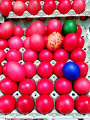 Obraz premium red Easter eggs on a tray