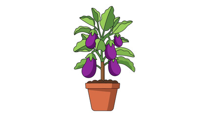 Obraz premium Eggplant plant in pot illustration