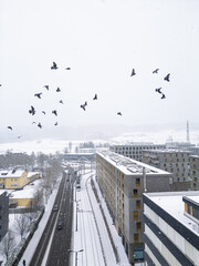 Schneefall in D&uuml;bendorf