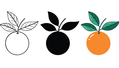 Three different illustrations of oranges with leaves on a white background