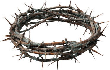 Fototapeta premium Crown thorn thorn branch religion symbol suffering pain sacrifice faith wood circle simple