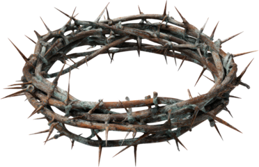 Crown thorn thorn branch religion symbol suffering pain sacrifice faith wood circle simple