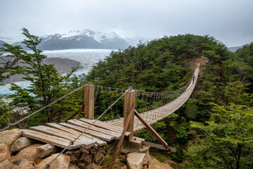 Bridge near Grey Glacier in the Southern Patagonian Ice Field, Chile.