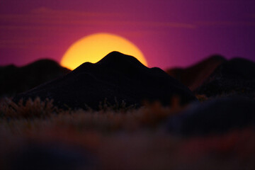 Majestic golden sun setting behind silhouetted mountain peaks against a vibrant purple and pink twilight sky over arid grasslands