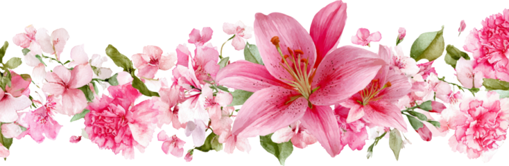 Floral border pink flower watercolor flower spring blossom lily flower joyful elegant floral