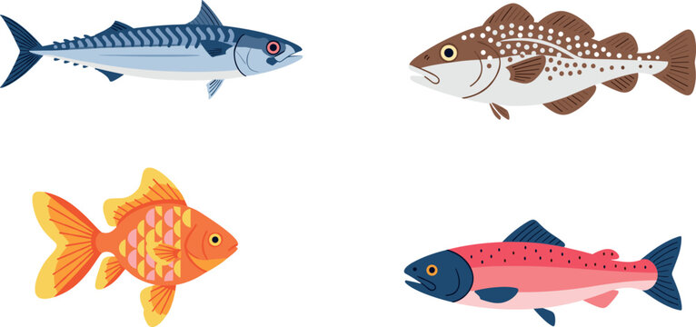 Set of four different fish species including mackerel trout and goldfish flat vector illustration isolated on white background for seafood or aquarium concept.