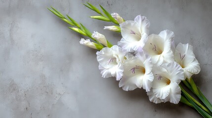 New gladiolus on light gray table Close up Sympathy card with space for heartfelt message