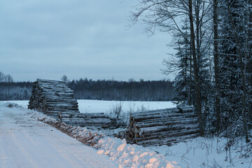 winter landscape with snow covered trees © talavietis