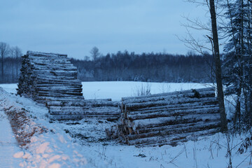 winter landscape with a wooden fence © talavietis