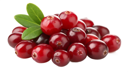Heap of Fresh Red Cranberries with Green Leaves Isolated on White Background