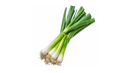 Fresh green onions tied together with twine on a black background