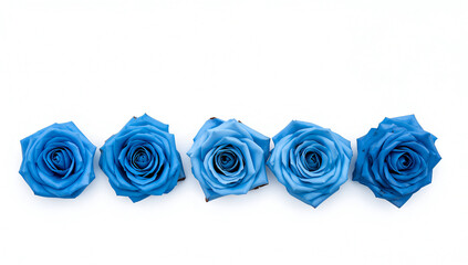 Five vibrant blue roses arranged in a row on a clean white background