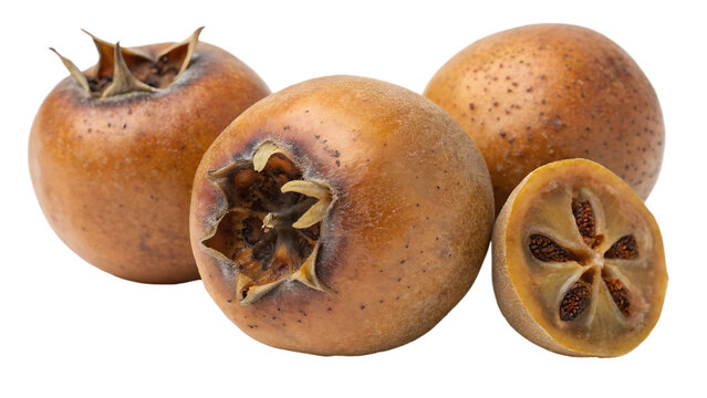 Fresh Brown Medlar Fruits Whole and Sliced Half Isolated on White Background