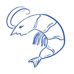 Hand-drawn shrimp outline drawing
