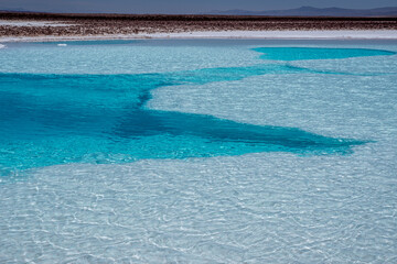 Hidden lagoon Baltinache , Lagunas escondidas Baltinache in Atacama Desert, Chile