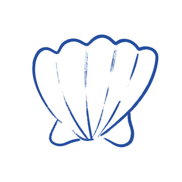 Hand-drawn sea shell outline drawing