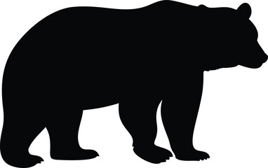 Majestic Wild Forest Bear Silhouette Walking Powerfully Through its Natural Woodland Territory