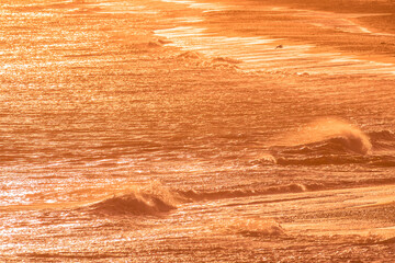 Solitary seabird over glowing Irish Sea, layered waves and golden water texture in autumn afternoon light © Vitaliy
