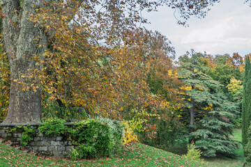 Beaut&eacute; des arbres du parc de Penthe en automne