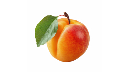A single ripe apricot with a leaf attached, isolated on a black background