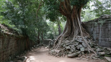 A tree s roots breaking through a stone wall in Angkor Wat Cambodia