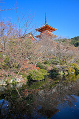 Naklejka premium Garden around Kiyomizu-dera temple , Kyoto, Japan