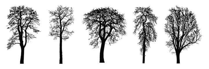 Winter tree silhouettes vector collection, hand drawn sketch style forest elements isolated on white, nature clipart set for landscape design, templates, posters and seasonal projects
