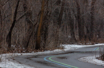 Winding bike path through winter woodland