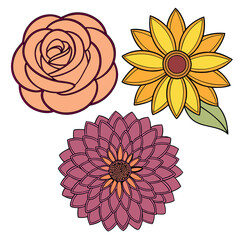 Rose sunflower marigold dahlia flowers 