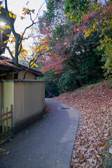 Fototapeta premium The road leading to the top of Fushimi Inari, Kyoto, Japan.
