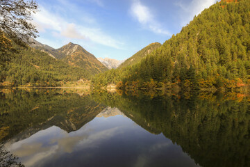 mountain lake reflects surrounding lush green forest and distant peaks under clear blue sky, creating tranquil and picturesque landscape