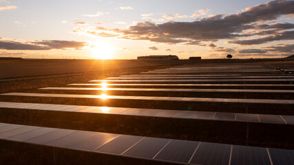 Solar Panels Reflecting Golden Sunlight at Renewable Energy Plant