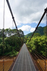 Suspension bridge crossing lush green tropical forest