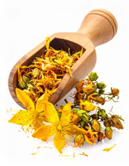 Vertical composition of dried Hypericum perforatum flowers, known as St. John&rsquo;s wort. Medicinal herb widely used in herbal medicine, natural healing, apothecary and traditional wellness concepts.