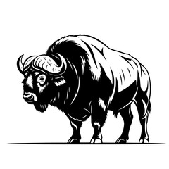 Obraz premium buffalo vector illustration