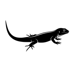 vector illustration of a lizard
