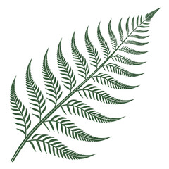 Fern Leaf Illustration