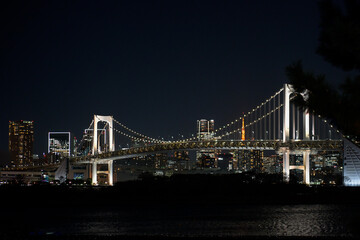 Fototapeta premium Tokyo Bay Rainbow Bridge Illuminated Night Scene