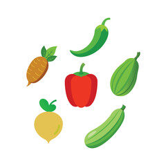 Colorful fresh vegetable set including pepper chili gourd and radish vector illustration
