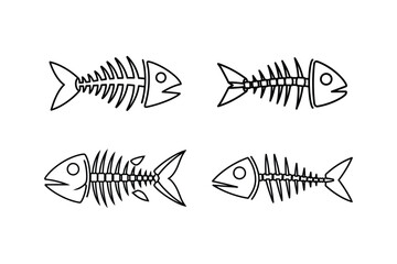 Fish skeleton line art set showing detailed aquatic anatomy vector illustration