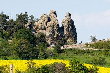 Teufelsmauer ( Harz ) mit Hamburger Wappen bei Timmenrode	