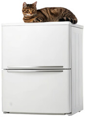 A curious, brown tabby cat with striking amber eyes confidently perches atop a sleek, modern white refrigerator with a smooth, enamel-coated surface, bathed in, isolated on transparent background.