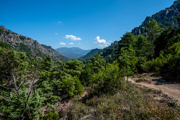 2024 08 30 corsica landscape 9.jpg