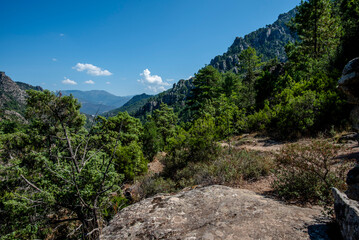 2024 08 30 corsica landscape 13.jpg
